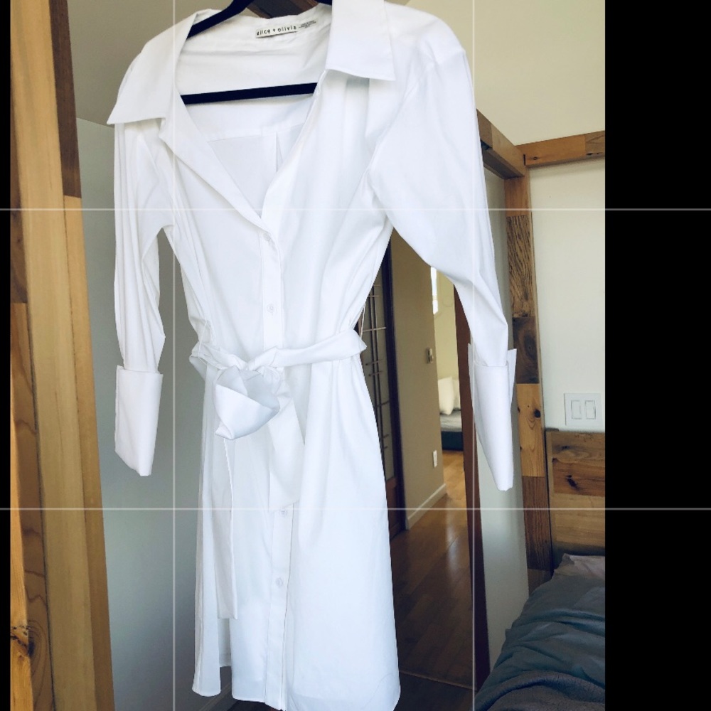 Never worn Alice & Oliver dress